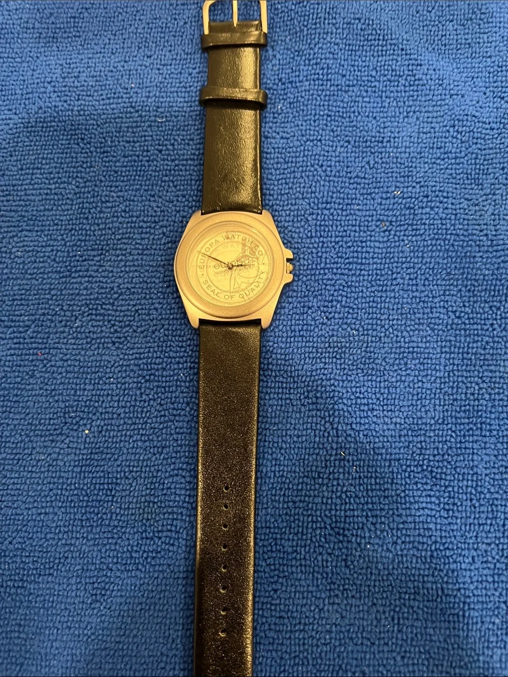 Silver Dial WB Michigan Frog